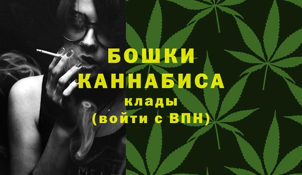 СК Горняк