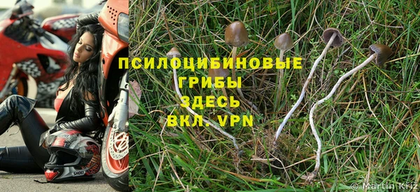 меф Горно-Алтайск