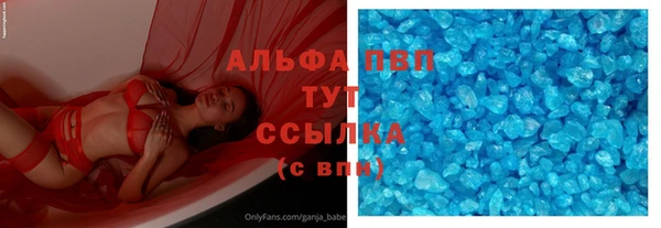 стаф Вяземский