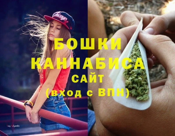 молекула духа Тында