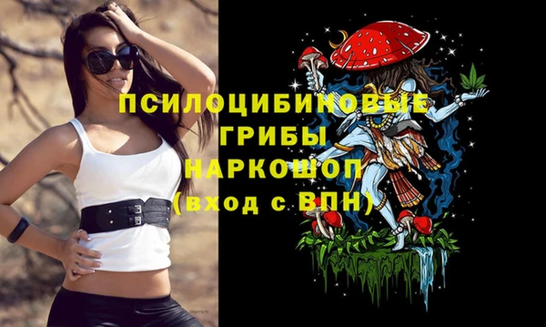 MDMA Premium VHQ Горнозаводск