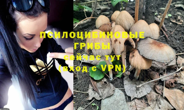 скорость Вязники