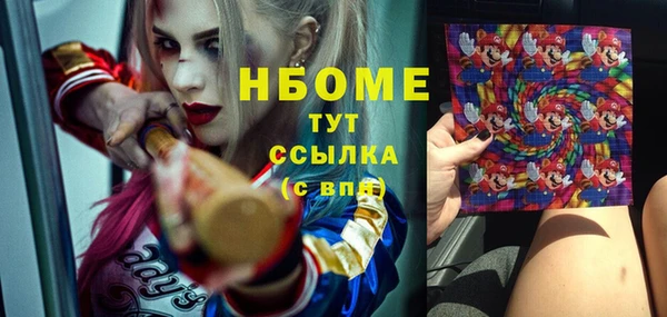 СК Горняк
