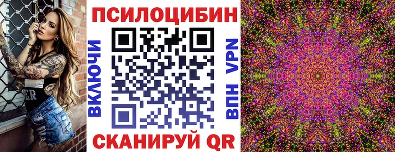 купить цена Заполярный Псилоцибиновые грибы Psilocybe